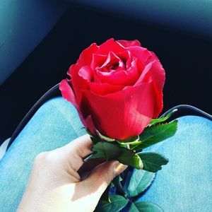 Meet your Posher, Alejandra